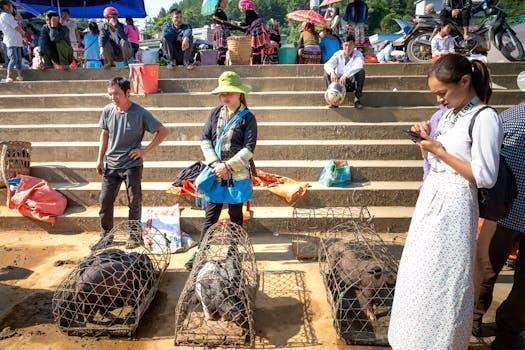 生猪供给主导2026年猪价格局；上半年压力持续，下半年迎来转机。