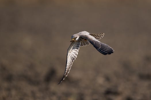 生物医药研报:科伦博泰生物深度观察与商业逻辑盘点 股票财经