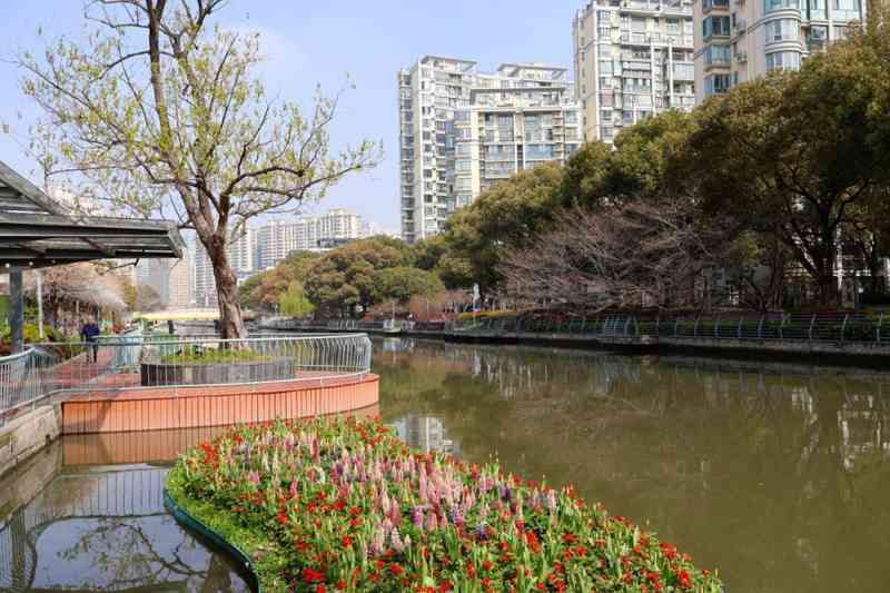  徐汇河道绿化「绣花功夫」全解密：11年老匠人亲述「一河一策」技术底座 文化旅游
