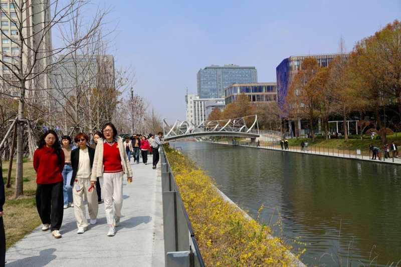  徐汇河道绿化「绣花功夫」全解密：11年老匠人亲述「一河一策」技术底座 文化旅游