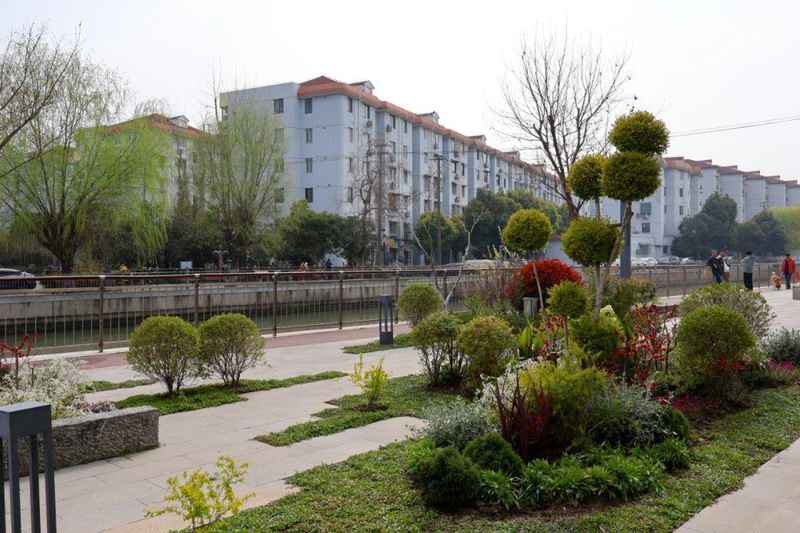  徐汇河道绿化「绣花功夫」全解密：11年老匠人亲述「一河一策」技术底座 文化旅游