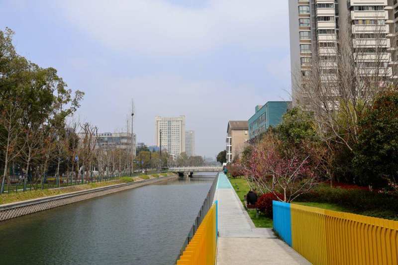  徐汇河道绿化「绣花功夫」全解密：11年老匠人亲述「一河一策」技术底座 文化旅游