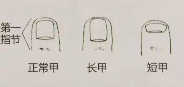  指甲发紫的生理机制与心血管预警：从临床病例到自我检测的系统指南 健康养生