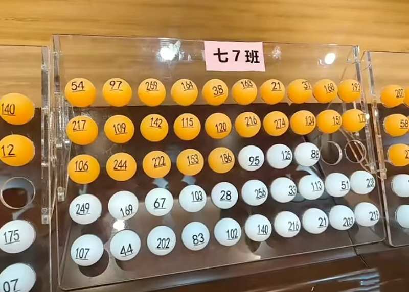 从「规则博弈」到「内功修炼」:随机分班政策的深层逻辑与应对策略 教育招生