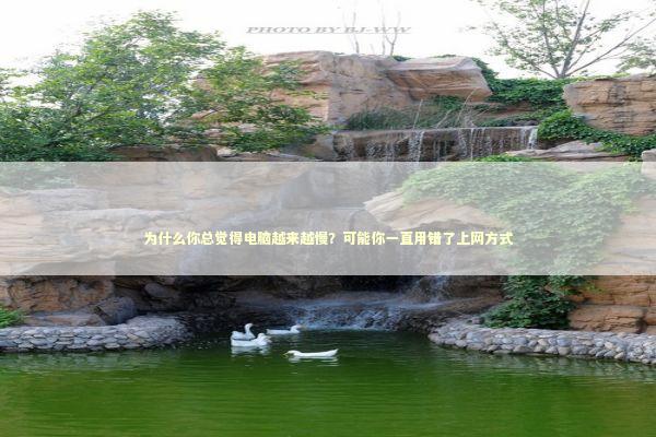 为什么你总觉得电脑越来越慢?可能你一直用错了上网方式 为什么你总觉得电脑越来越慢?可能你一直用错了上网方式 IT技术