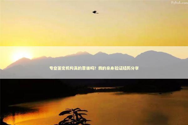 专业鉴定机构真的靠谱吗？我的亲身验证经历分享